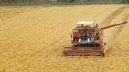 Farmaceutica bio, la toscana Aboca punta sull’isola