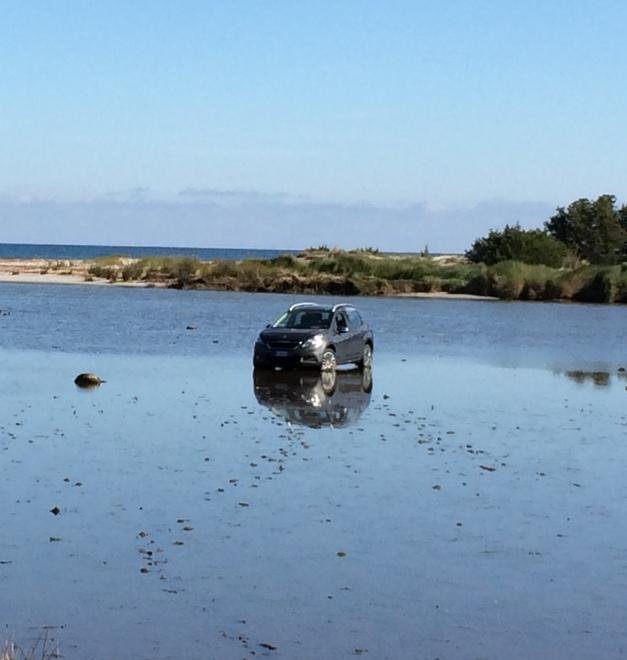 Nello stagno popolato da aironi e fenicotteri da due mesi c’è anche un’auto abbandonata 