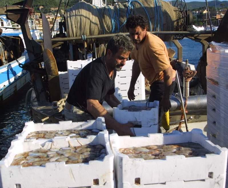 Lo sbarco del pesce a Porto Santo Stefano 