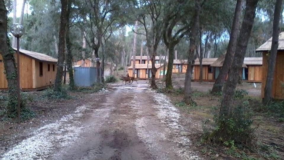 Il villaggio vacanze Paradù a Marina di Castagneto