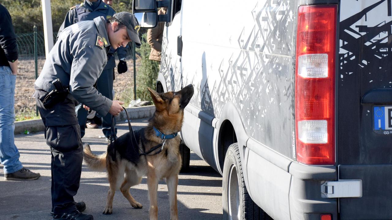 Il cane Dankan della Guardia di Finanza (foto Bf)