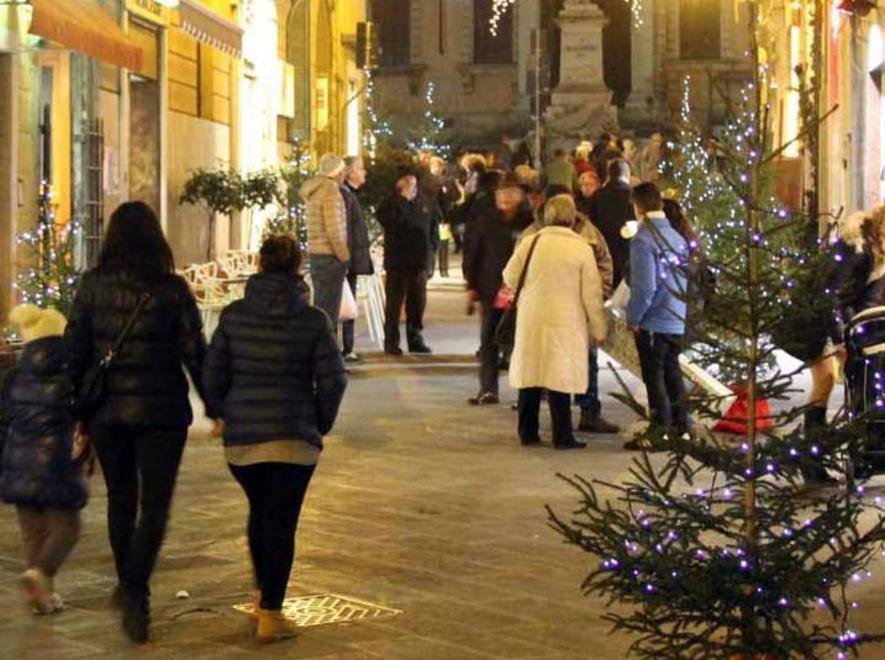 Luminaria soft e alberelli ma niente festoni natalizi 