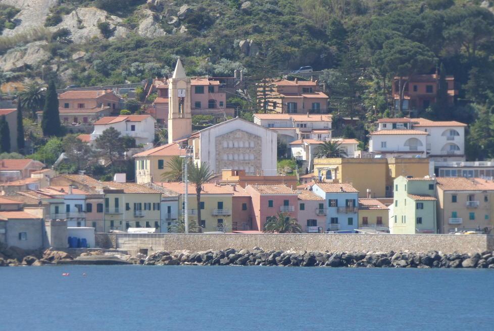 Randagi in difficoltà, ci pensa la Municipale