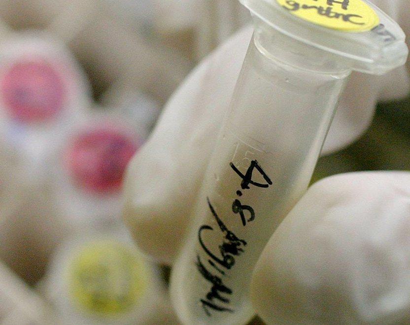 Torna l’incubo dopo trent’anni A rischio i giovani disinformati 