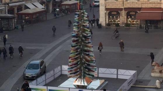 Albero in piazza Cattedrale E il tuo come lo fai?