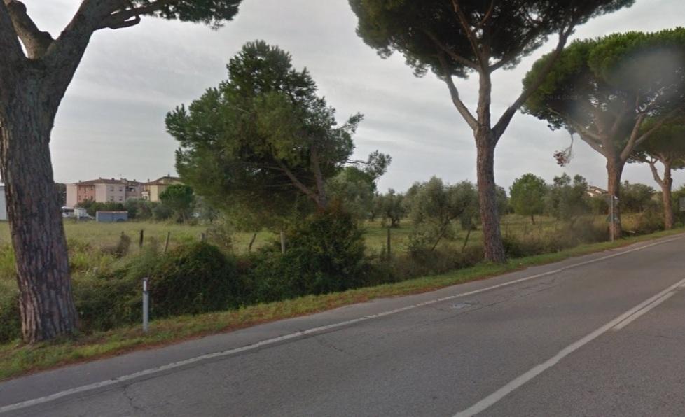 Venti appartamenti al posto degli olivi 