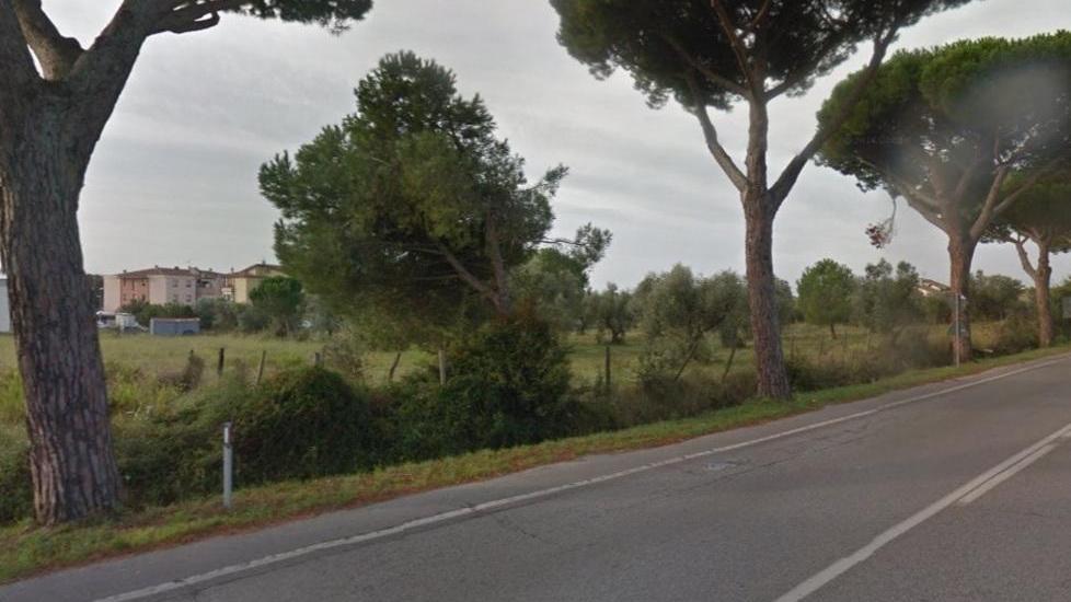 Venti appartamenti al posto degli olivi