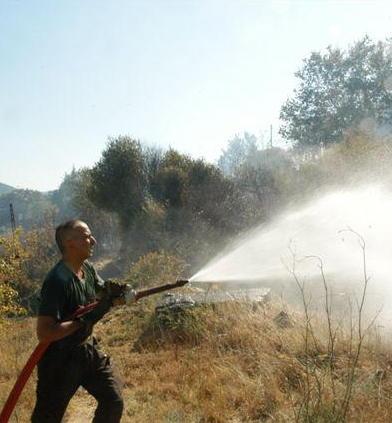  Fiamme al Filare, si pensa a un piromane 