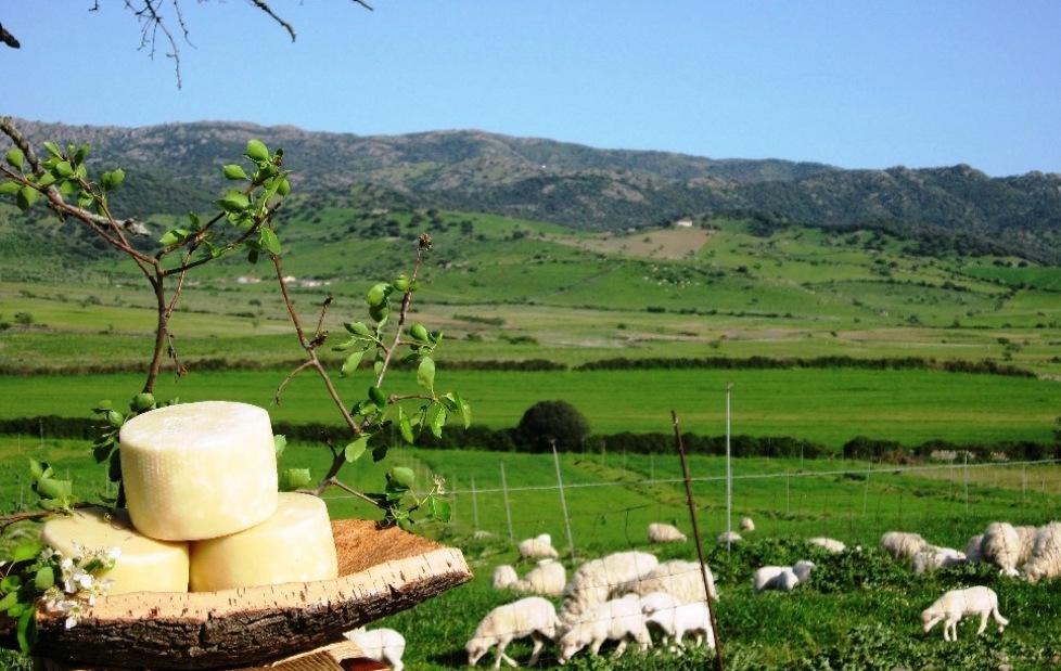 Da sabato al via la rassegna “Archeologia & Sapori”