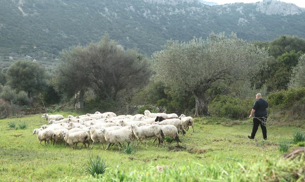 In arrivo i primi 25 milioni 