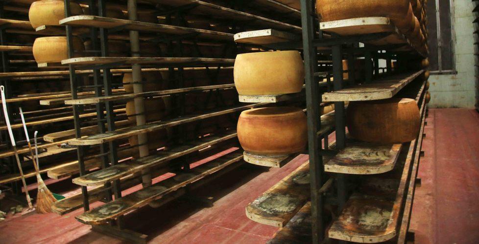 Bucano un muro e rubano 150 forme 
