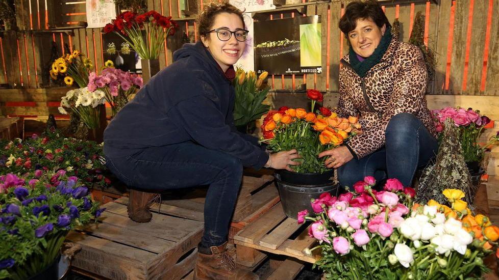 A Pescia 1500 visitatori per il Christmas Flower Trends
