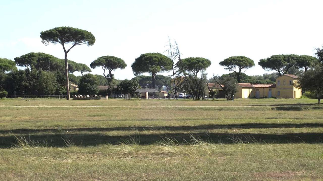 Uno scorcio del Parco di San Rossore