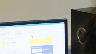 Enogastronomia, e-commerce col credito d’imposta