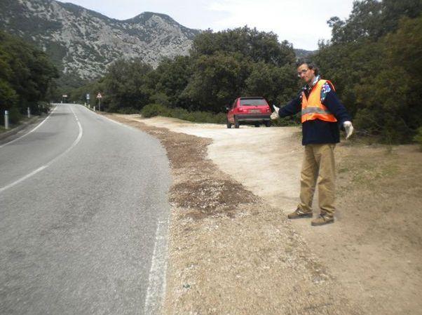 «Lavoro gratis in segno di protesta» 