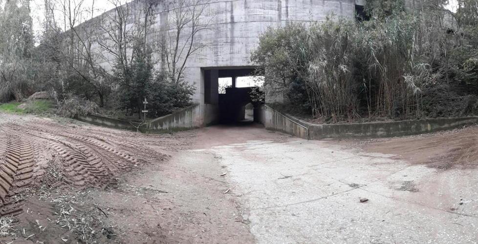 Cadavere nel bosco, resta fitto il mistero 