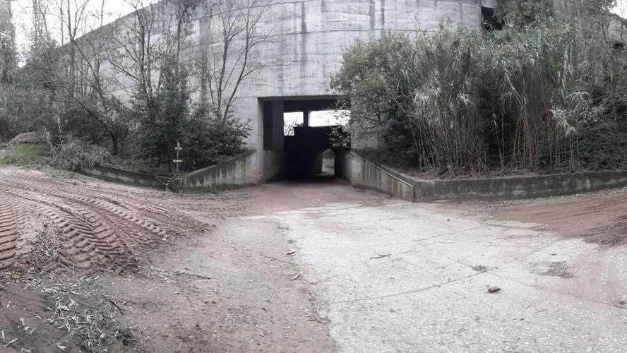 Cadavere nel bosco, resta fitto il mistero