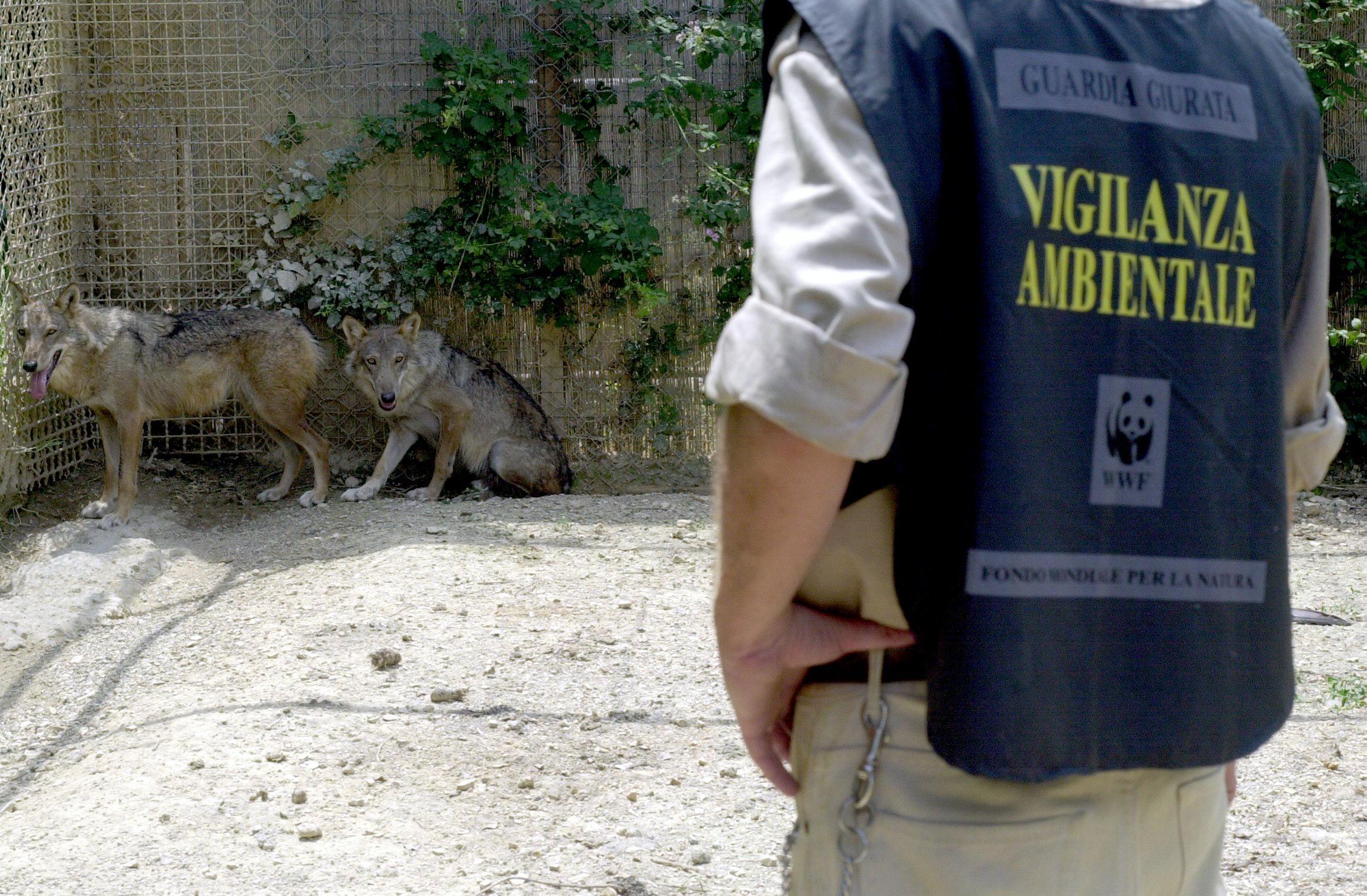 Sette indagati per la gestione del centro Crasm di Semproniano