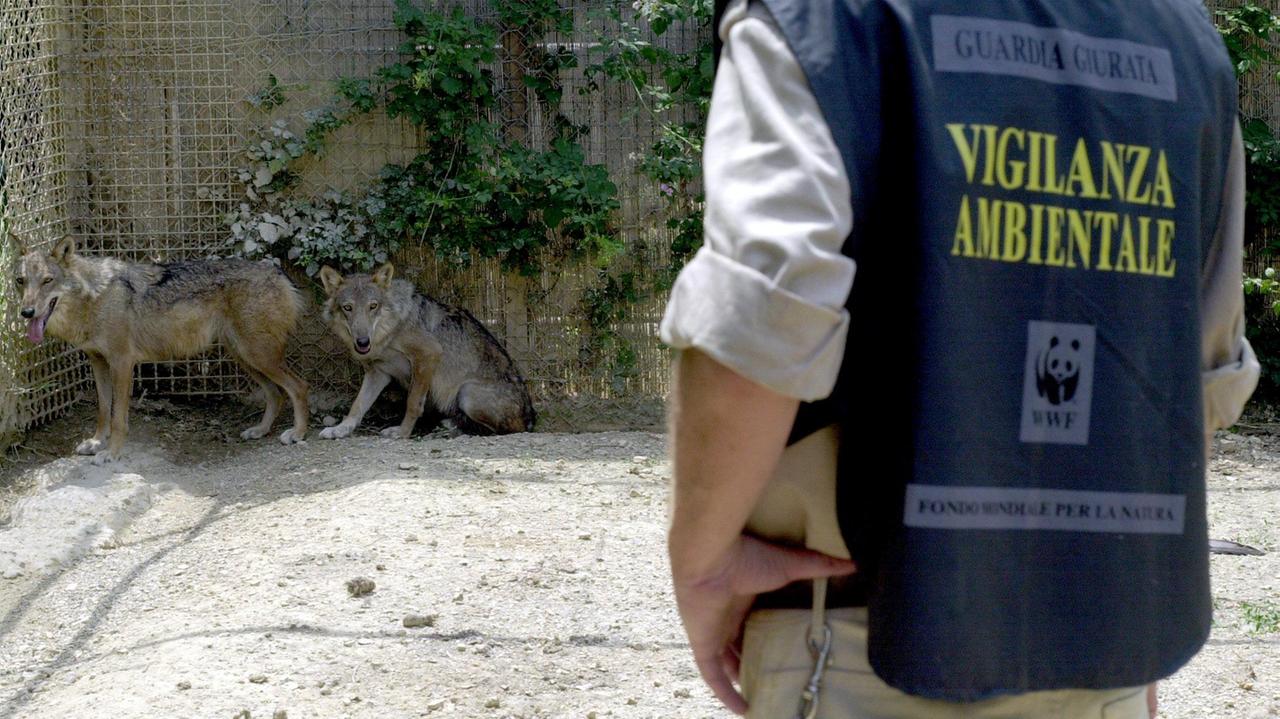 Sette indagati per la gestione del centro Crasm di Semproniano