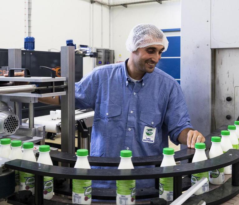 Latte Maremma, un giovane al controllo manuale dell'imbottigliamento 