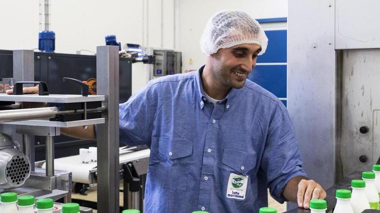 Latte Maremma, un giovane al controllo manuale dell'imbottigliamento