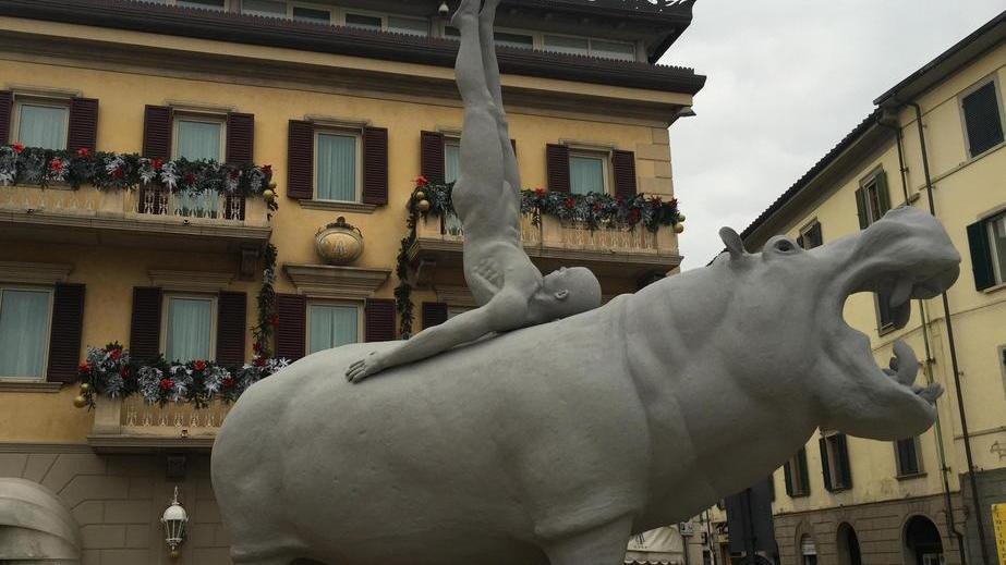 Un rinoceronte accompagna il Natale