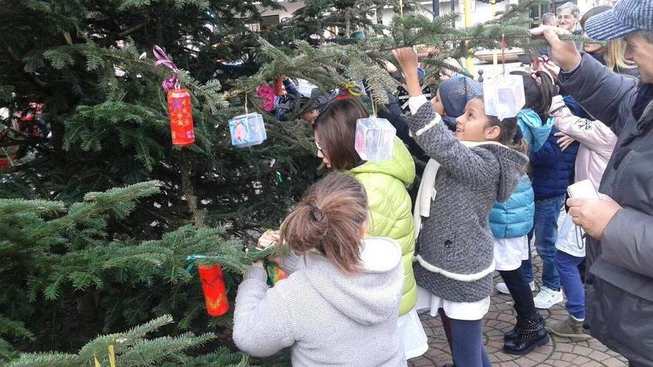 Si addobba l’albero della Pro Loco