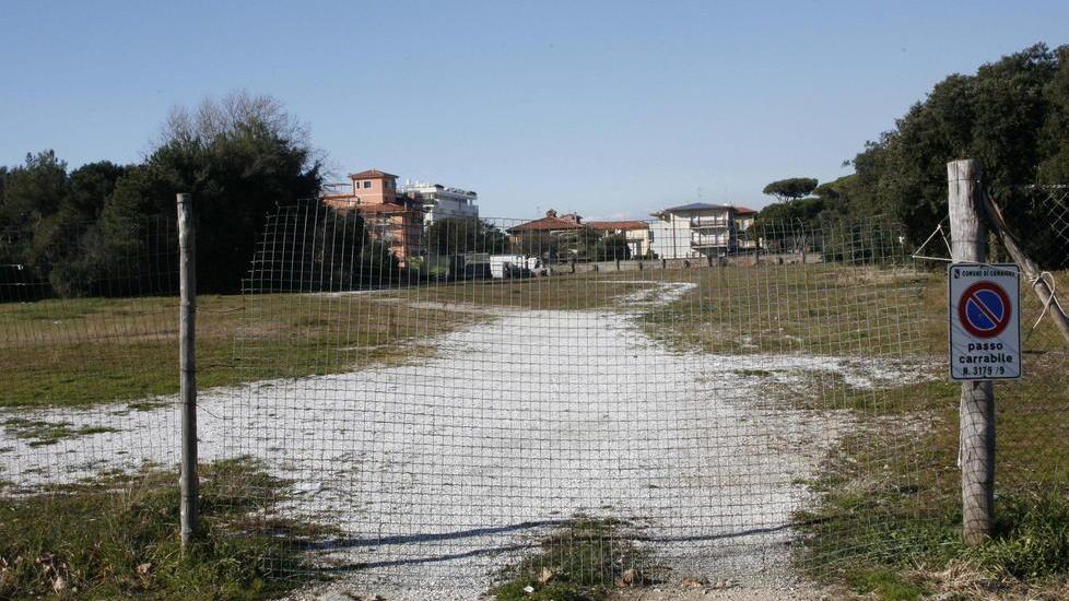 Bussoladomani diventa il Parco della musica