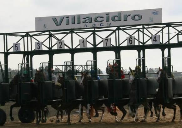 Purosangue protagonisti a Villacidro 