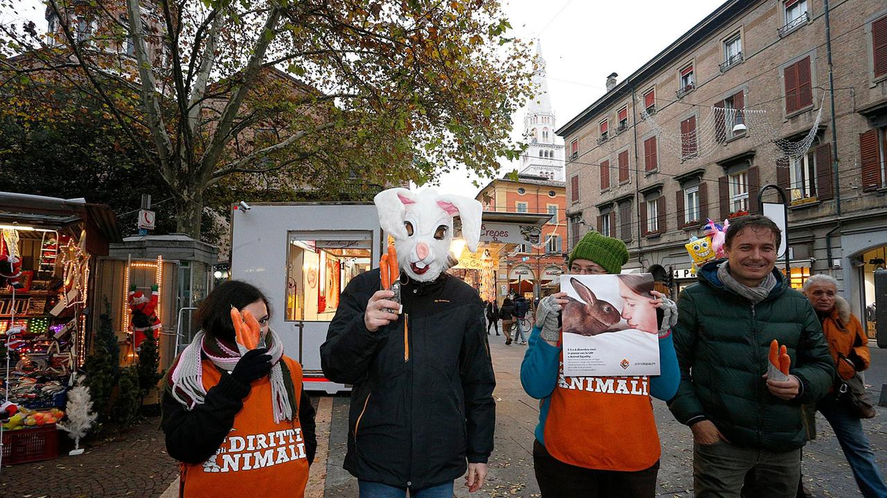 Lav Modena: "I conigli sono come i cani e i gatti: mai più macellati e cucinati"