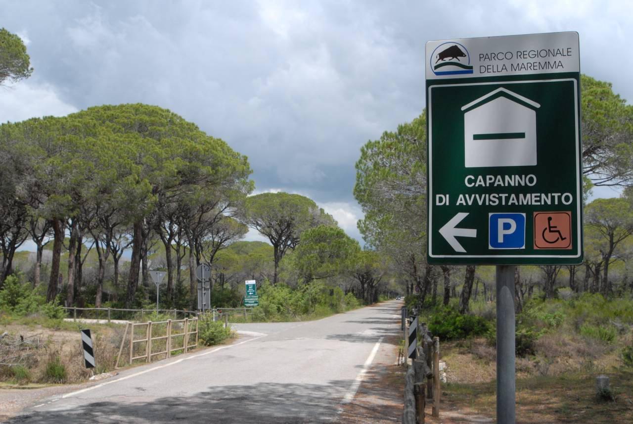 Parco della Maremma