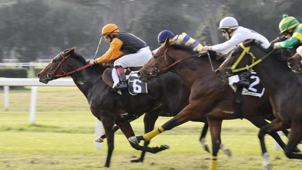 San Rossore, è il giorno del premio Rosenberg