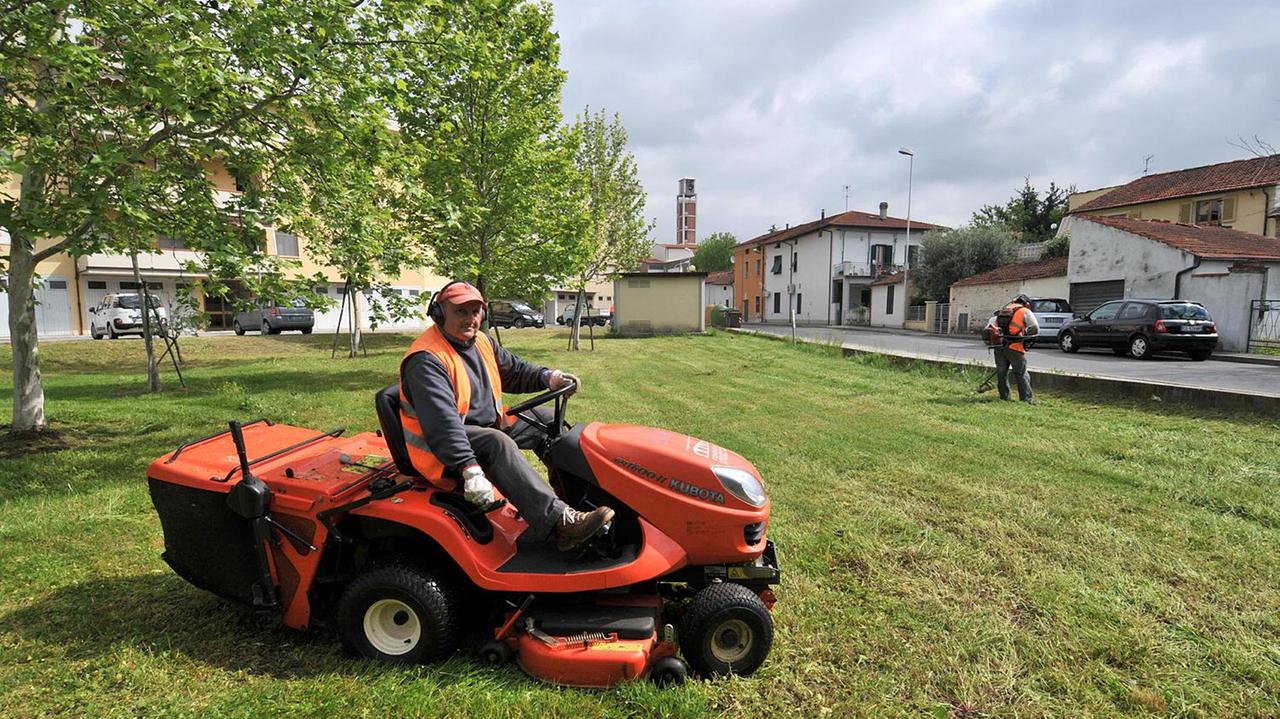 Una persona intenta a fare manutenzione del verde