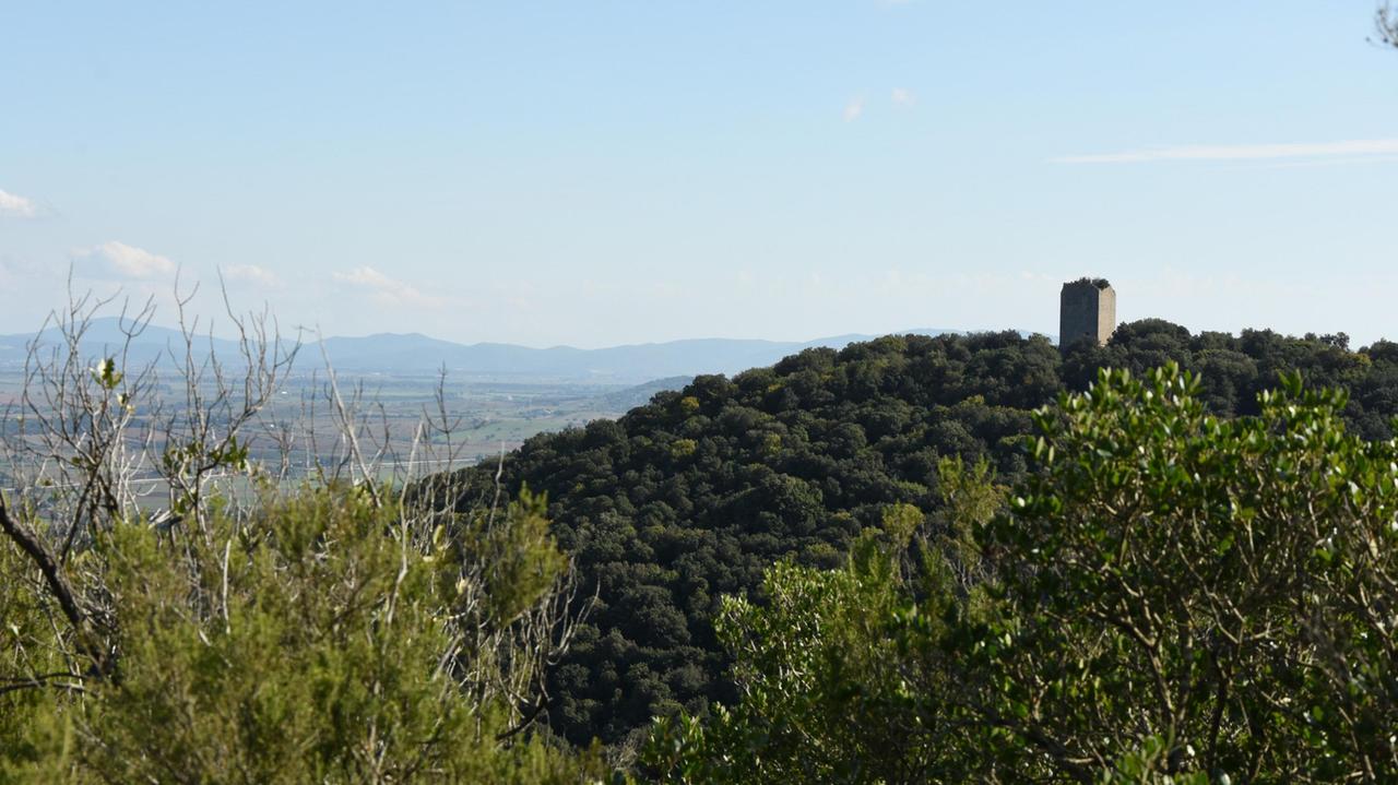 «Subiamo troppi tagli. Parco della Maremma, solo incertezze»