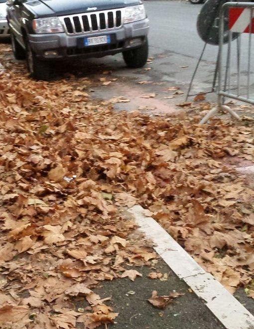 «Venite a vedere che degrado» 