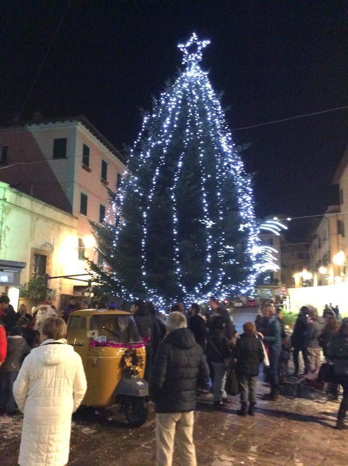 L'albero di Natale in piazza Cavour (foto Gio' Di Stefano)