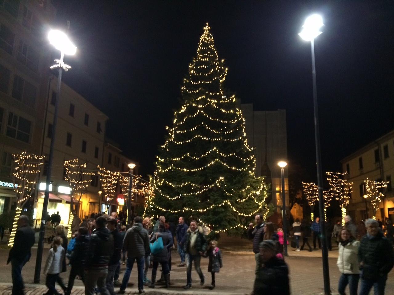 L'albero di Natale in piazza della Chiesa (foto Michele Falorni/Silvi)