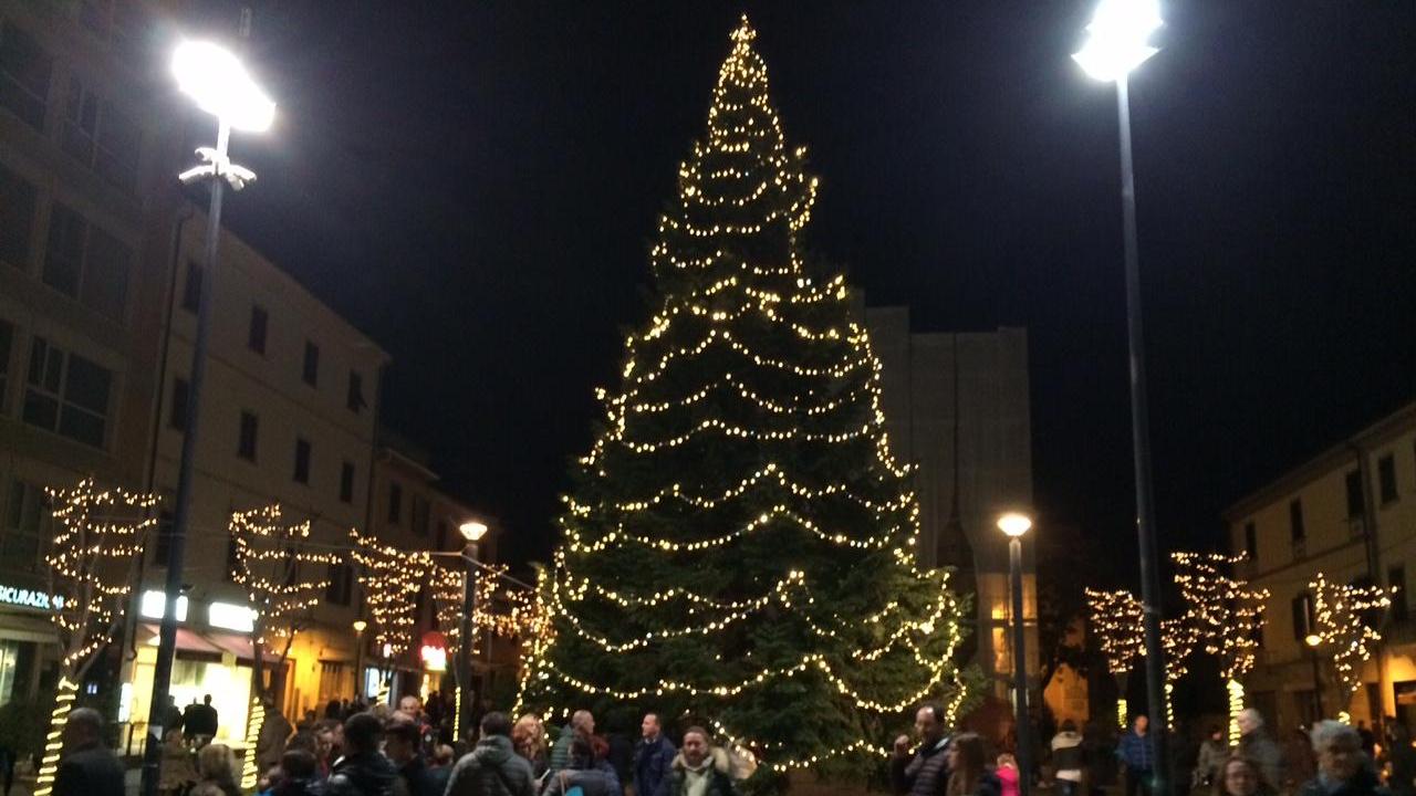 L'albero di Natale in piazza della Chiesa (foto Michele Falorni/Silvi)