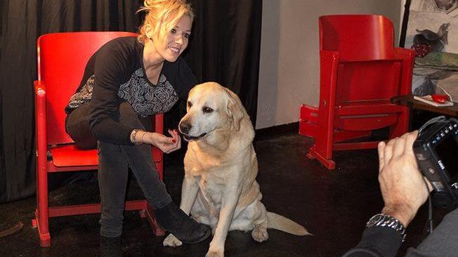 I primi scatti del progetto bau bau fotokafe, per aiutare i cani meno fortunati