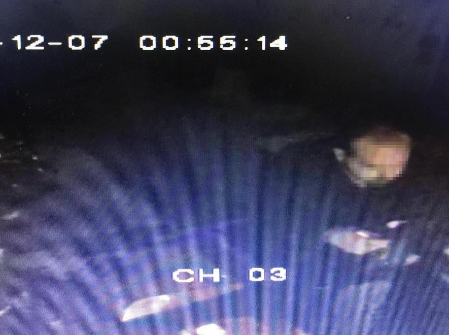 Il ladro nella pizzeria finisce sul “Grande Fratello”