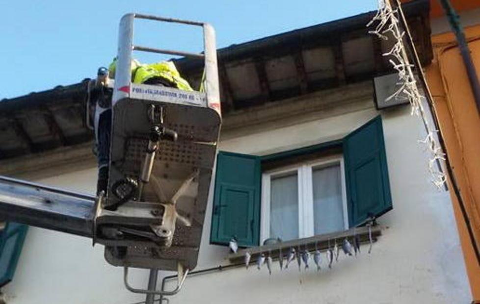 Pesci appesi alla finestra scattano rimozione e multa 