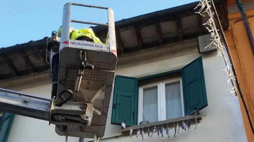 Pesci appesi alla finestra scattano rimozione e multa