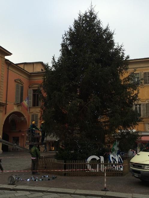 Oggi l’accensione dell’albero allestito in piazza Prampolini