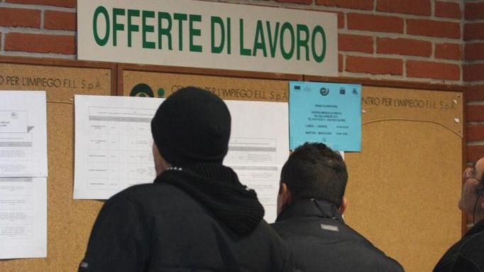 I requisiti richiesti per partecipare: basta la 3ª media