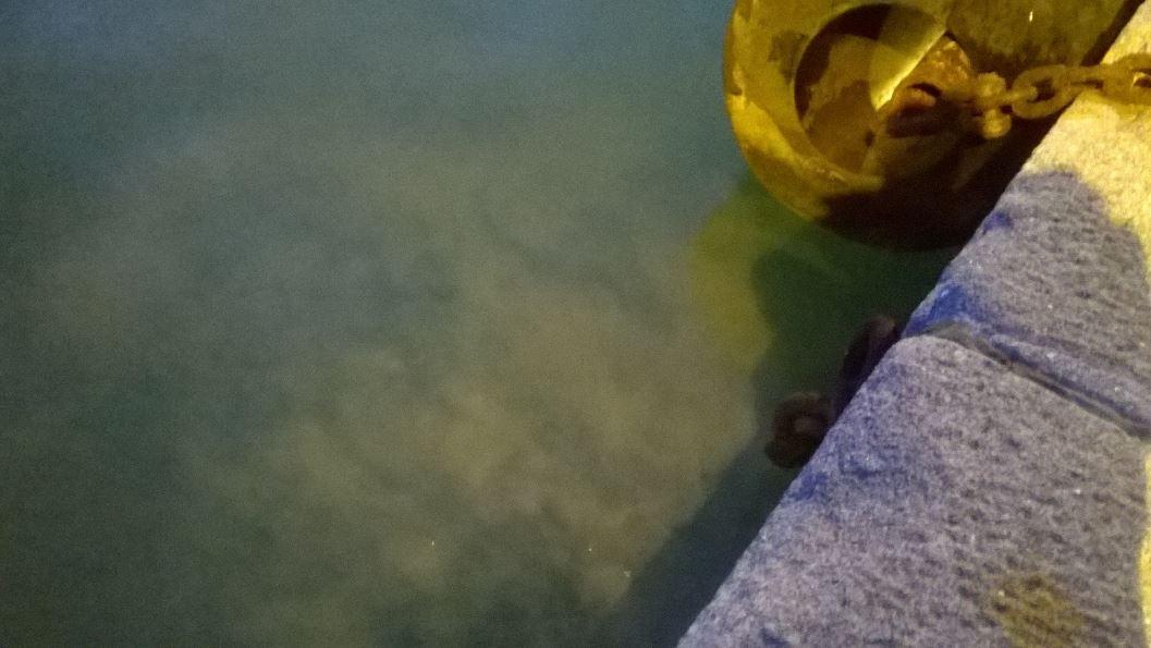 Sversamento di liquami all'Alto Fondale