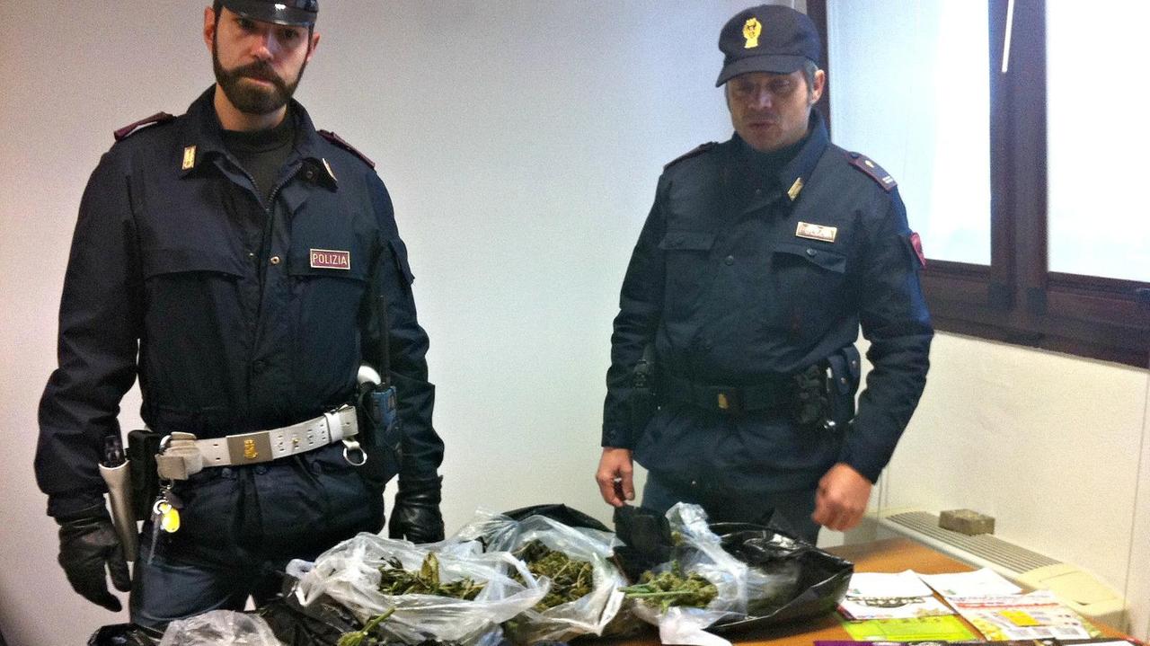 La marijuana sequestrata dalla Squadra volante della polizia