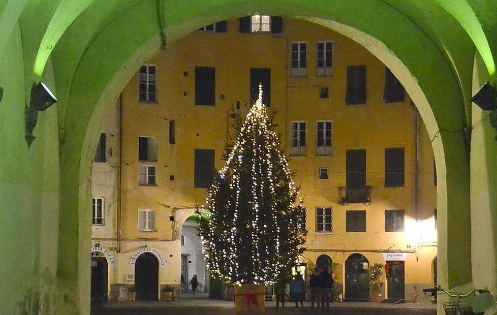 L'albero di Natale allestito in piazza Anfiteatro