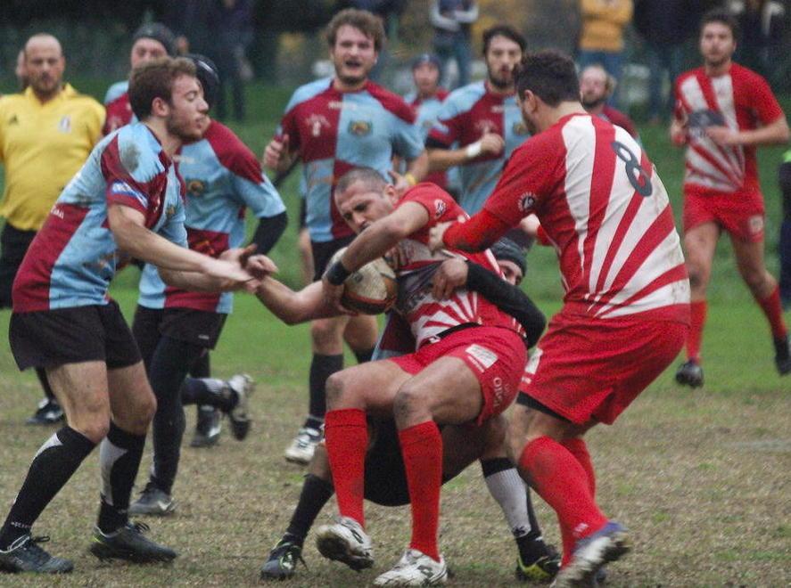 Troppo forte l’Elba Rugby per gli Orsi 