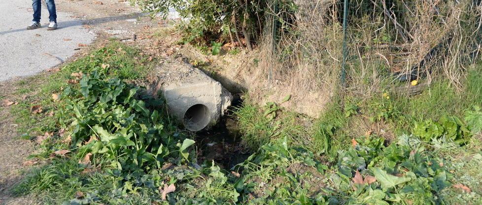 Trovata morta nel fossato vicino a casa 