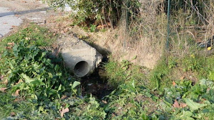 Trovata morta nel fossato vicino a casa